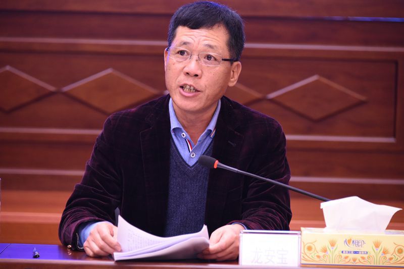 1587892573109817.jpg 龙总作报告.jpg